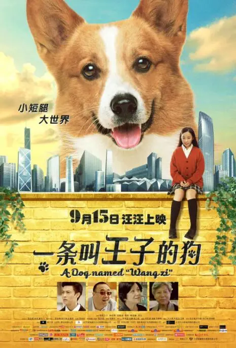 《一条叫王子的狗》：不是所有狗都叫王子，但看了它，你绝对会爱上！