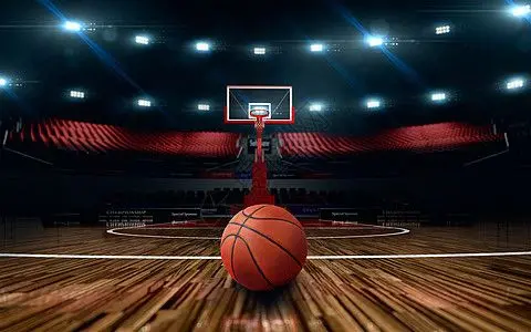 猛龙vs马刺夏季联赛：谁是NBA新王？一条叫王子的狗带你揭秘！